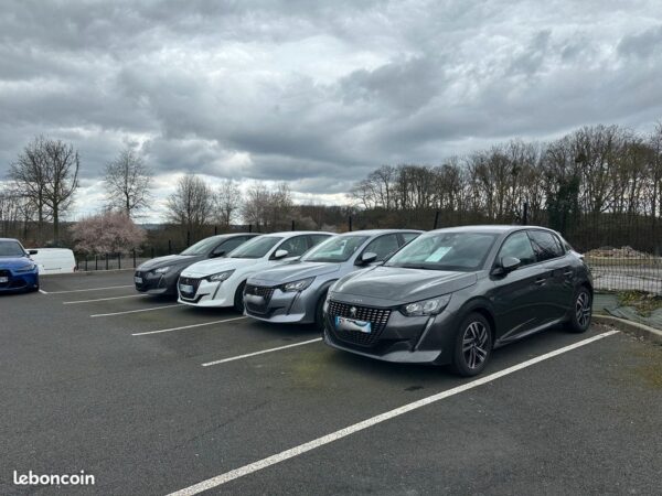 Auto Sérénité - image épinglée - Arrivage 208 ( Sarthe 72 )