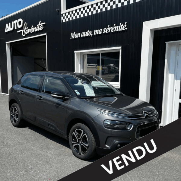Citroën C4 Cactus BlueHDi 100ch