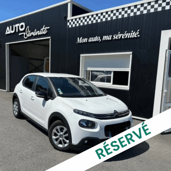 Citroën C3 BUSINESS BlueHDi 100cv