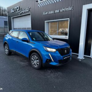 Peugeot 2008 BUSINESS BlueHDi 110ch