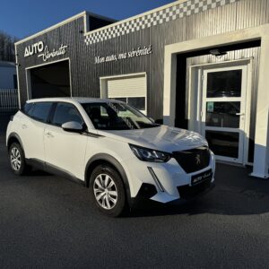 Peugeot 2008 BUSINESS BlueHDi 110ch BV6 S&S GPS