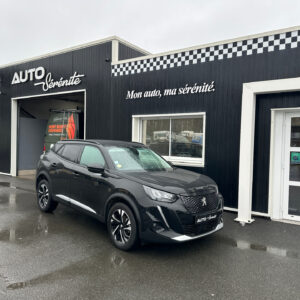 Peugeot 2008 BlueHDi 110cv S&S BV6 ALLURE BUSINESS + CAMERA
