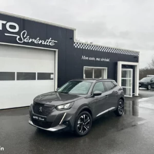 Peugeot 2008 BlueHDi 130ch EAT8 S&S Allure Business + CAMERA