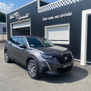 Peugeot 2008 BlueHDi 110cv S&S Active Business